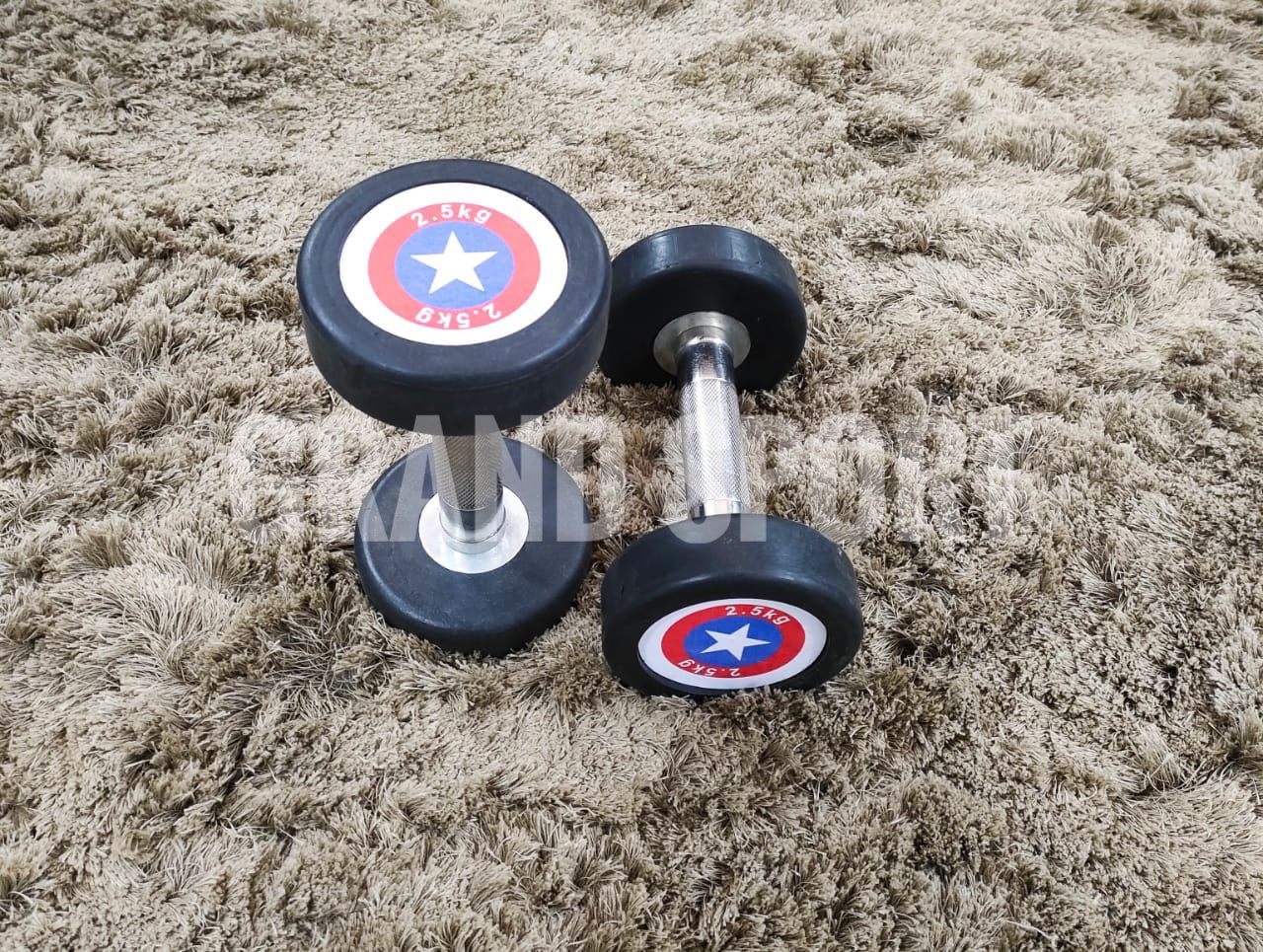 طقم دامبلز كوبى امريكآ 555ك