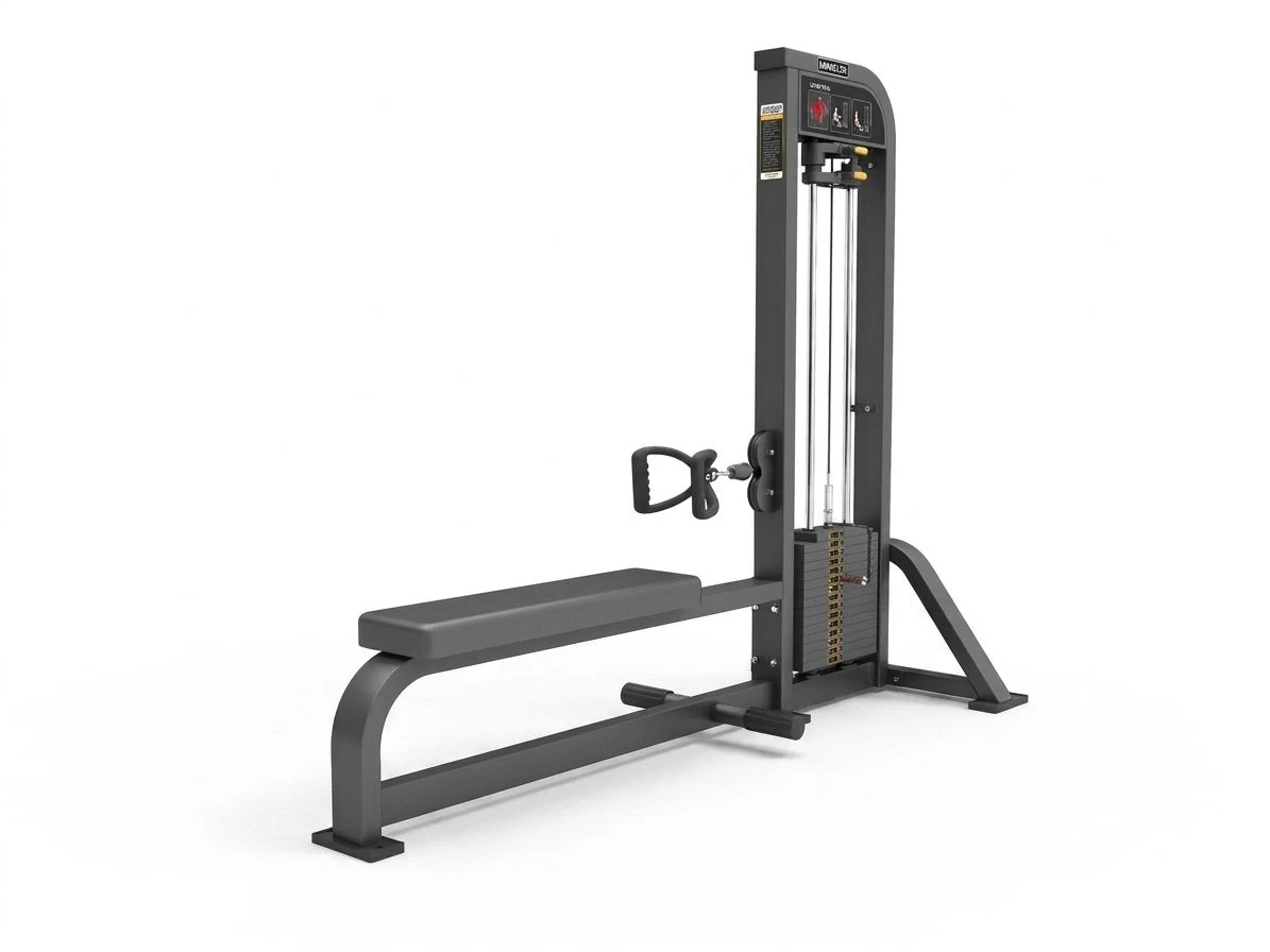 سحب ارضي life fitness pro 2