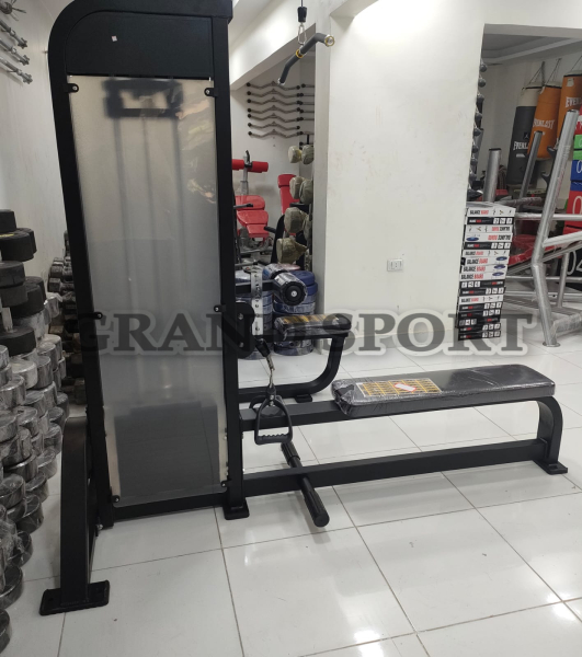 سحب ارضي life fitness pro 2 - جراند سبورت
