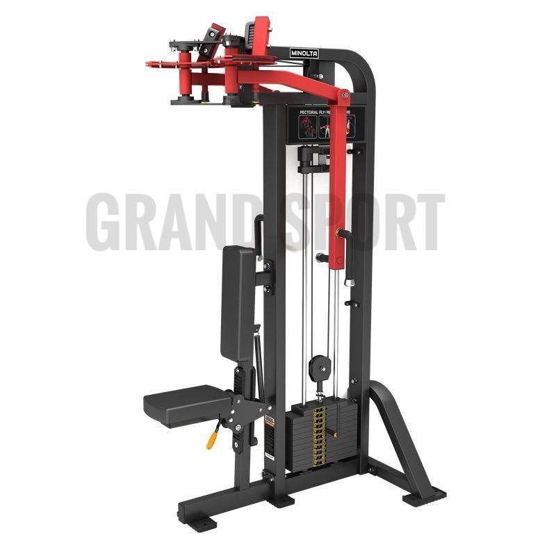 فراشه life fitness pro 2